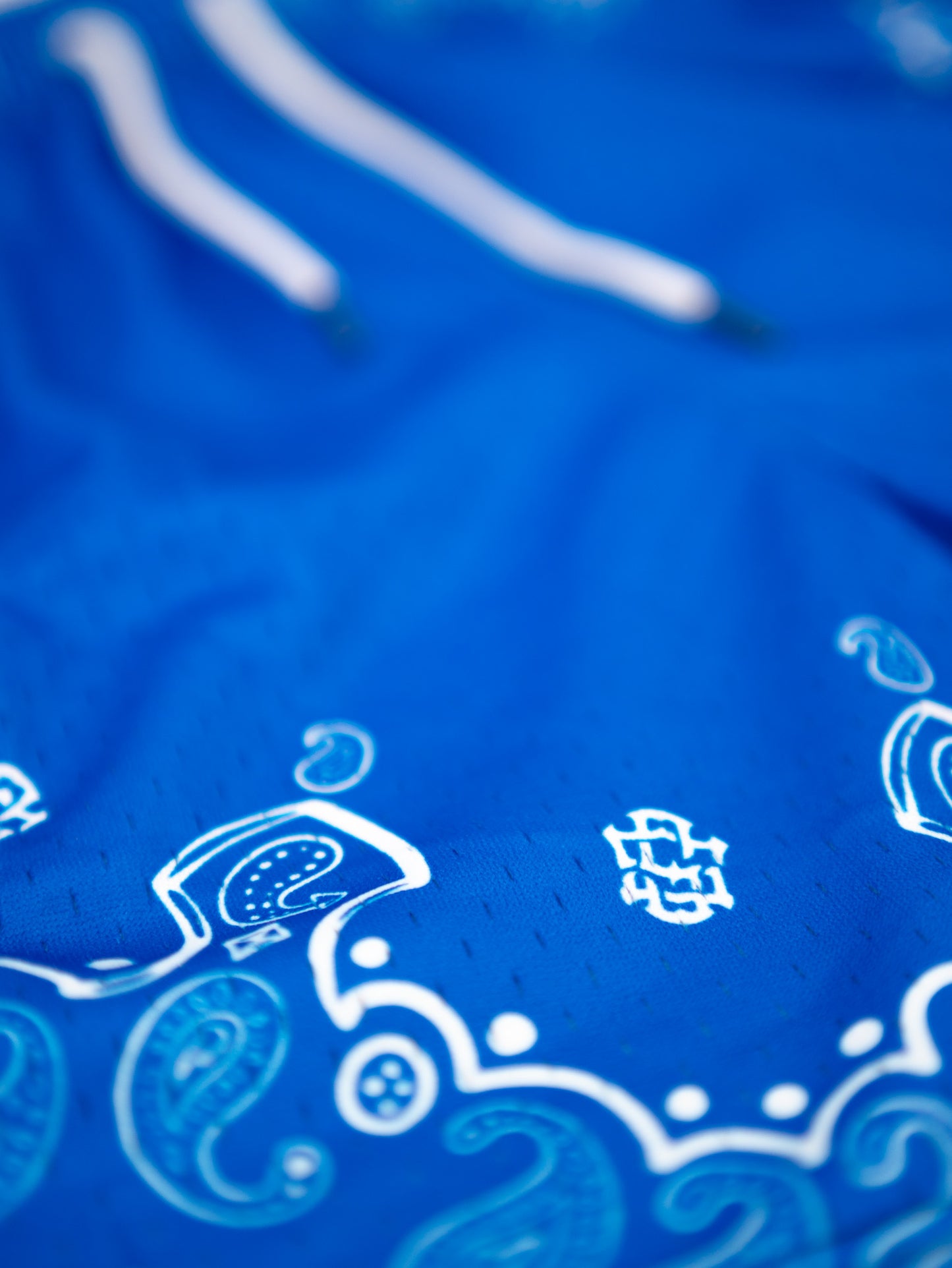 SILENT SOC. PAISLEY MESH SHORTS (ROYAL BLUE/WHITE)